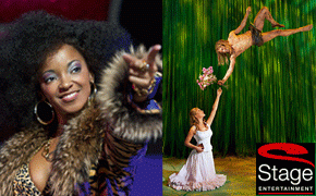 Sister Act und Tarzan