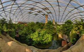 Gondwanaland