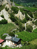 Wallis Sierre / TSS