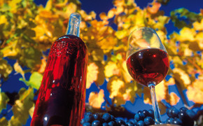 Wein