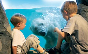 Zoom von Alaska über Afrika nach Köln