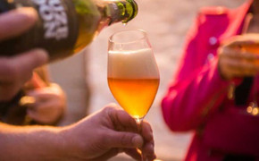 Bier Flandern