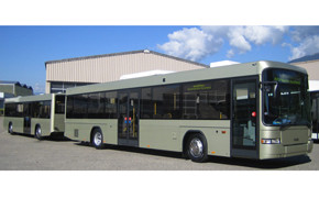 Hess Buszug
