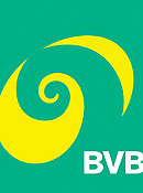 bvb_logo