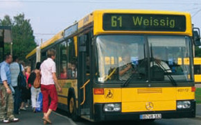 Über Mose zum Busfahrer