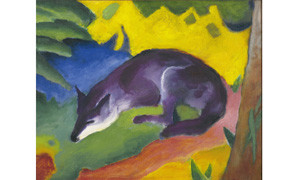Blauschwarzer Fuchs