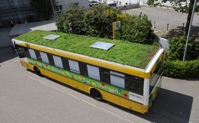 Begrünter Bus für SSB-Jubiläum begrünter Bus der SSB
