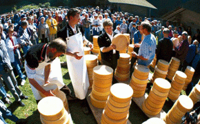 Alles Käse, oder was?