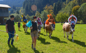 Almabtrieb Pillerseetal