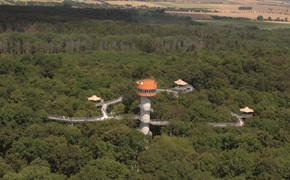 Baumkronenpfad im Nationalpark Hainich