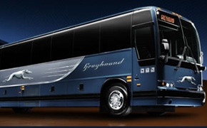 Greyhounds für die Insel