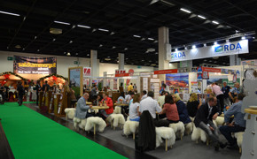 RDA 2015