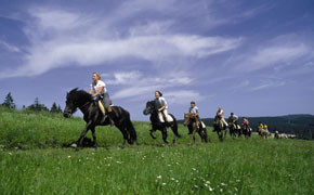Positives Sommerergebnis für Oberösterreich