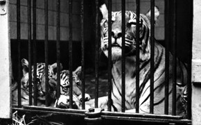 Zoo Leipzig