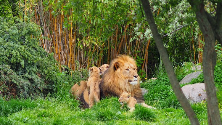 Zoo_Leipzig