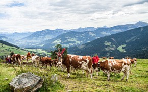 Genussherbst in der Wildschönau