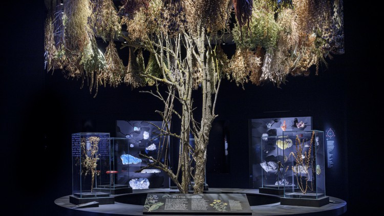 Ausstellung_Magie_Bremen