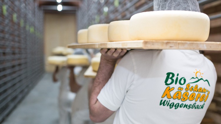 Genussreisen, Käse, Bio-Schaukäserei Wiggensbach, Ziegelgewölbe, Käseproduktion, Allgäu