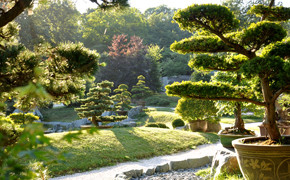 Bonsai Garten_Millstätter See