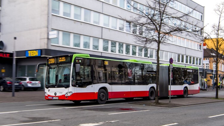 Vestische Straßenbahnen, Bus, Linienbus, Stadtbus