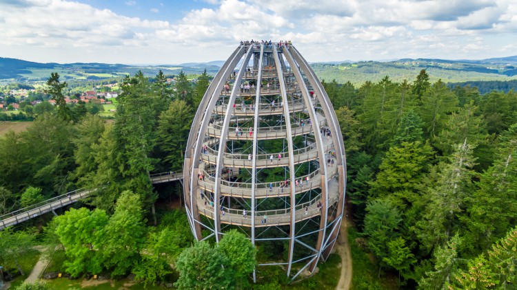 Baumwipfelpfad Bayerischer Wald