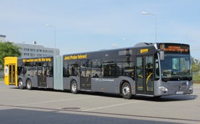 DVB CapyCity