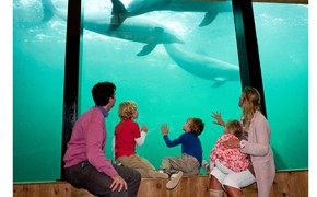 Dolfinarium