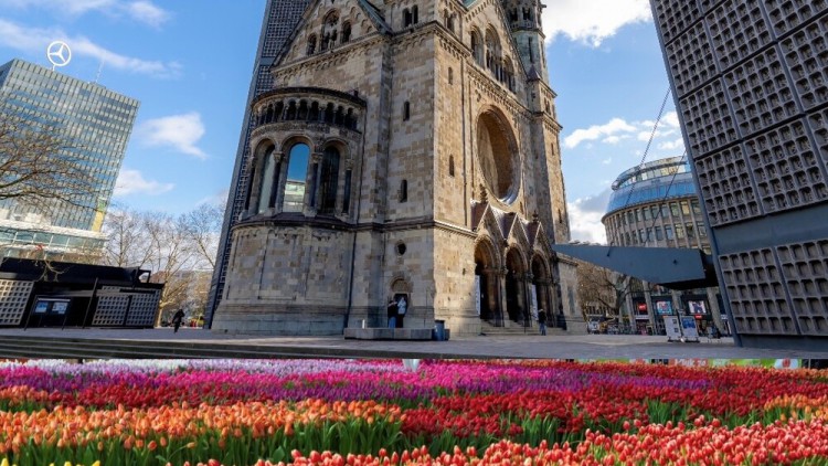 Tulpenpracht vor der Gedächtniskirche in Berlin am Tulip Day