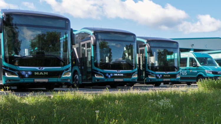 E-Busse_MAN_Neubrandenburg