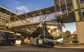 Daewoo-Busse