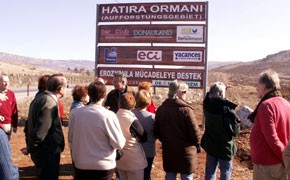 H&H pflanzt noch mehr Bäume