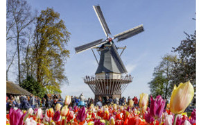 Niederlande: Saisonbeginn im Blumenpark Keukenhof 