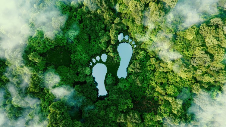 Deutscher Nachhaltigkeitspreis: „Klimabewusst Reisen“  ausgezeichnet Auszeichnung des Branchenprojekt „Klimabewusst Reisen"