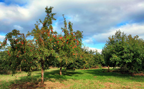 Den Herbst im Neanderland genießen