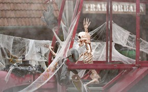 Karls, Halloween, Herbst