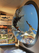 Haus des Meeres
