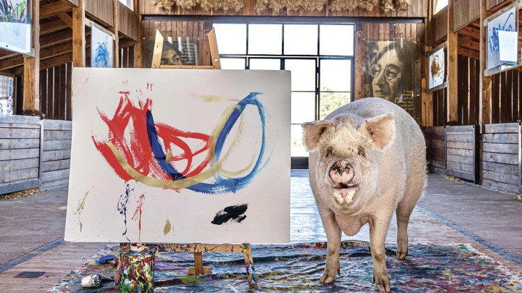 Pigcasso