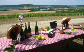 Champagner-Winzer für einen Tag