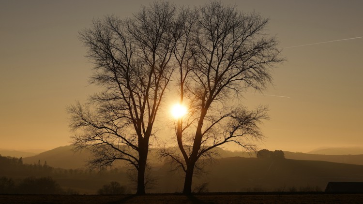 Sauerland_Camino_Pilgerweg