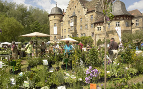 Schloss Eyrichshof
