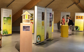 Sonderausstellung Bienen Umwelt Arena Spreitenbach