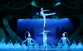 Swan Lake geht wieder auf Deutschland-Tournee Swan Lake