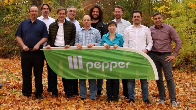 Pepper_motion_Batterieentwicklung_Team