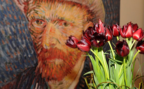 Van Gogh Keukenhof