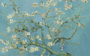 Vincent Van Gogh, Ausstellung
