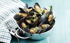 Zeeländische Miesmuscheln