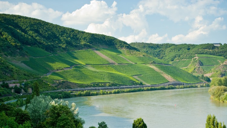 Boppard 2011©Dominik Ketz für Romatischer Rhein-008Kopie