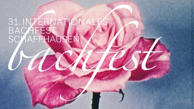 Internationale Bachfeste Schaffhausen C/o Kultur & Theater bachfest Aufmacherbild