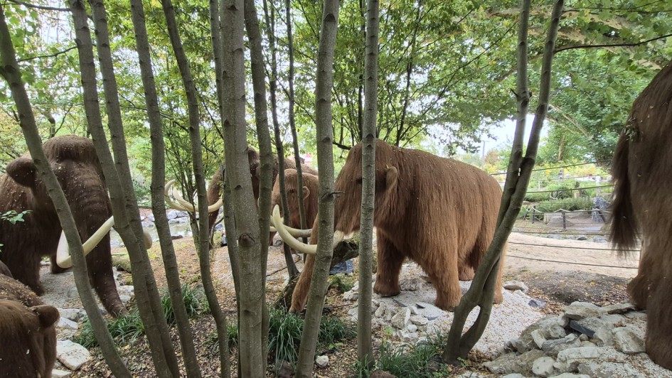 Prehi Daiza in Pairi Daiza