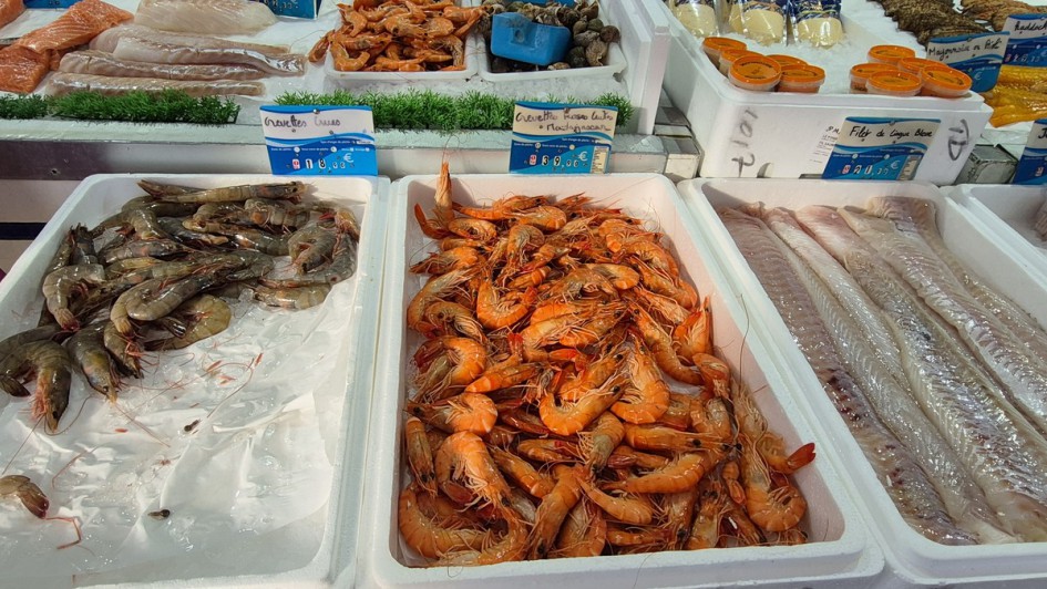 Fischmarkt am Morgen